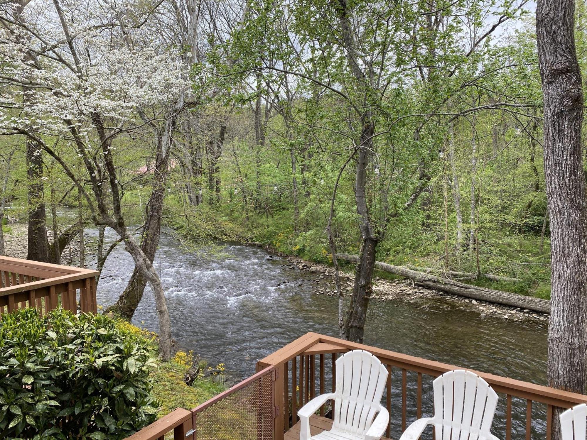 Gray'S Place On Cosby Creek - 2 Bedrooms, 2 Baths, Sleeps 6 Home ภายนอก รูปภาพ